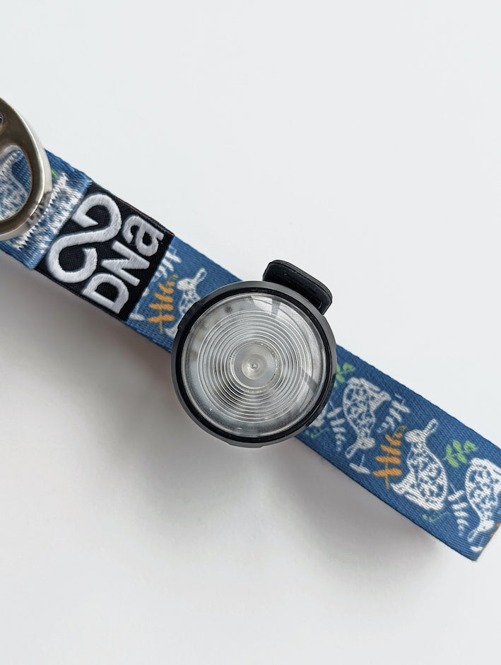 HoundHeadz - Halo Rechargeable Light