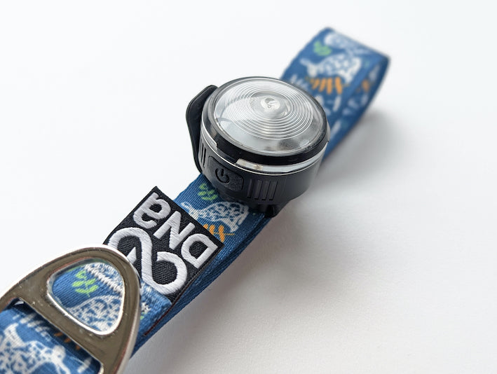 HoundHeadz - Halo Rechargeable Light