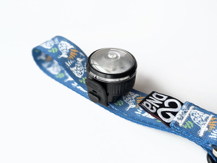 HoundHeadz - Halo Rechargeable Light