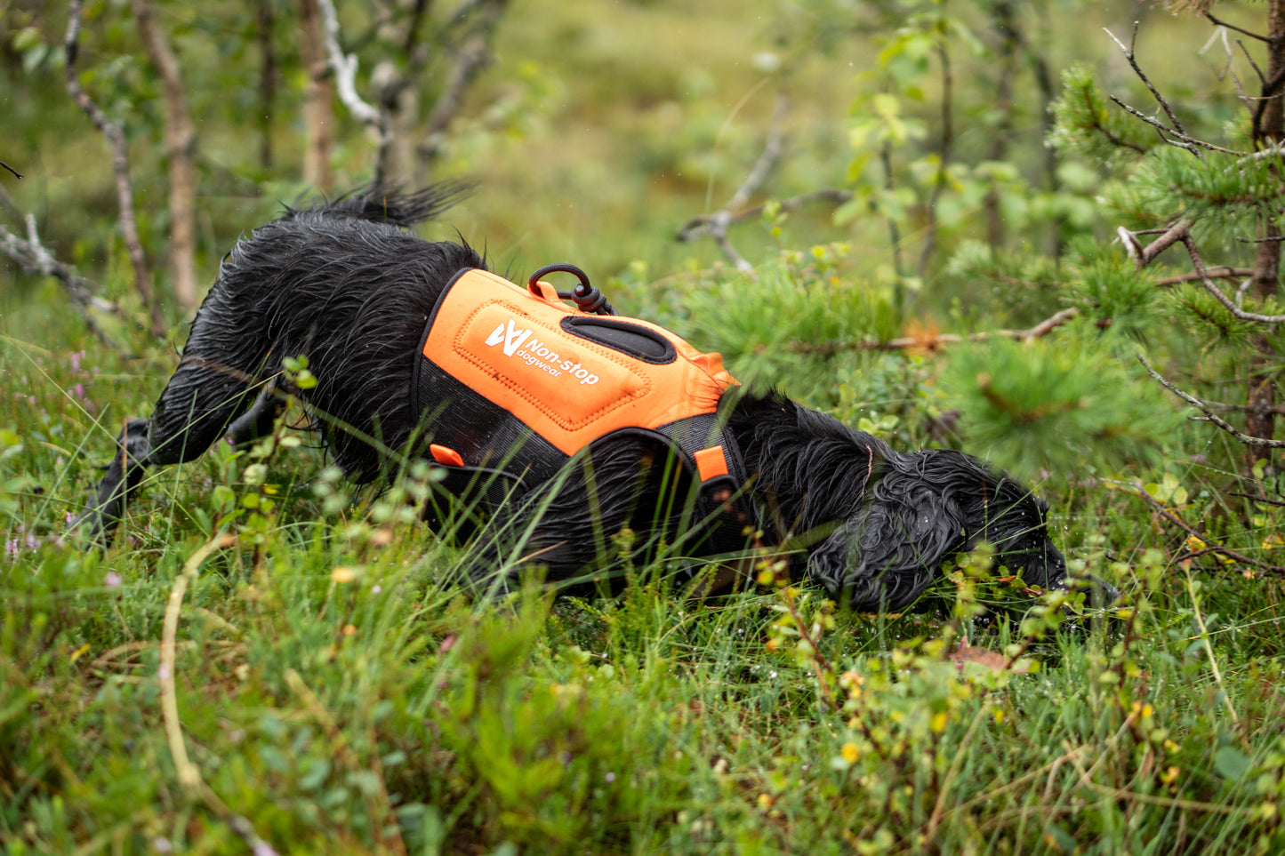 Non-stop - Protector Neoprene Vest