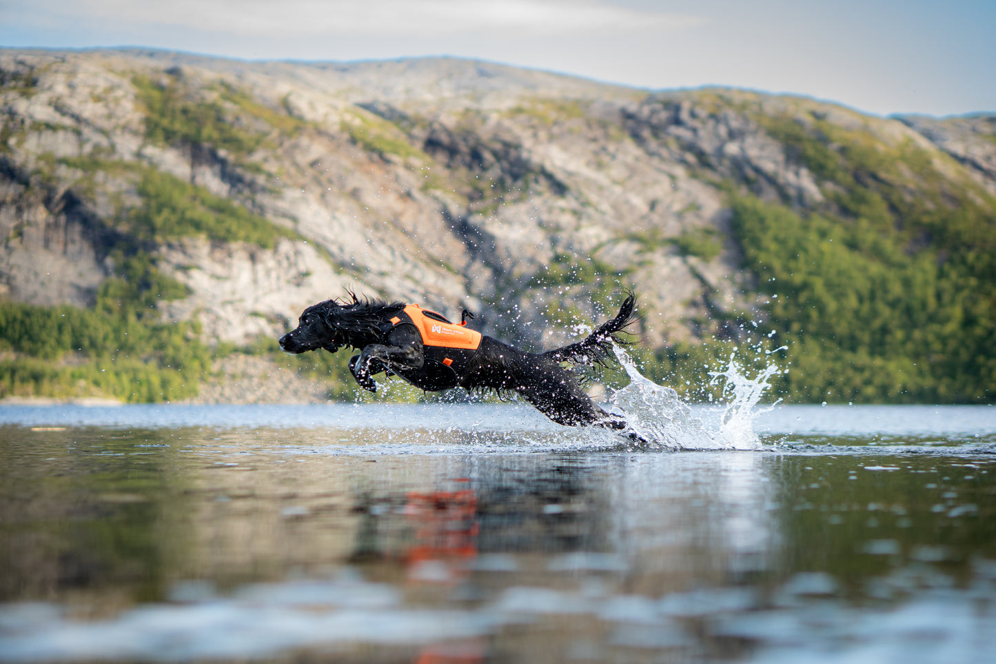 Non-stop - Protector Neoprene Vest