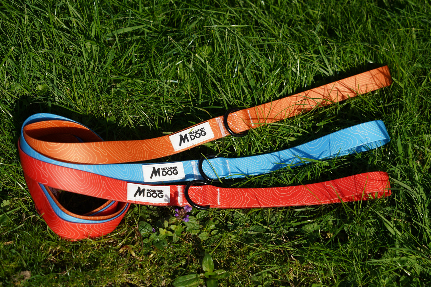 MDOG - Lakeland Waterproof Lead *AMAZING PRICE TO CLEAR*