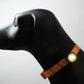 HoundHeadz - Halo Rechargeable Light