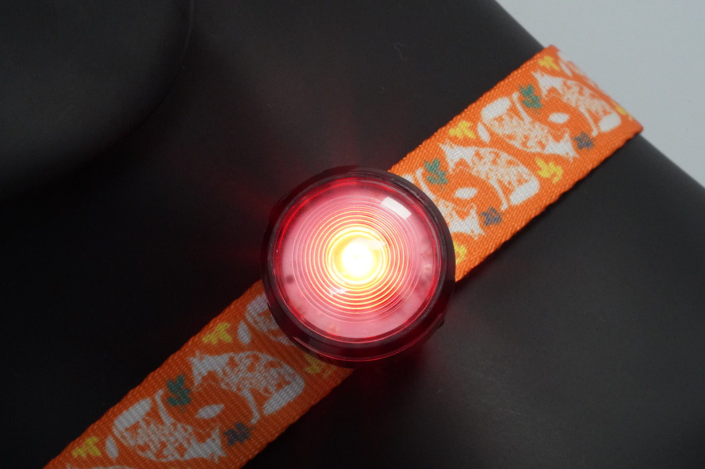 HoundHeadz - Halo Rechargeable Light