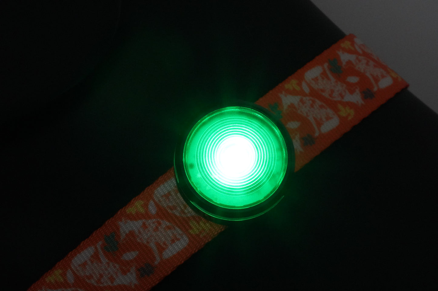 HoundHeadz - Halo Rechargeable Light