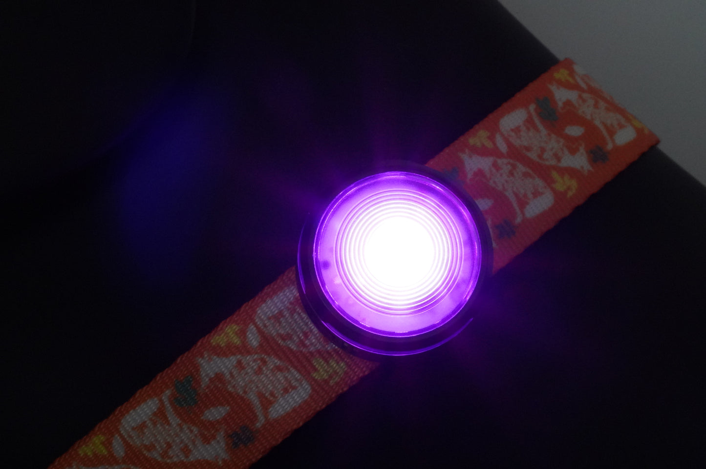 HoundHeadz - Halo Rechargeable Light