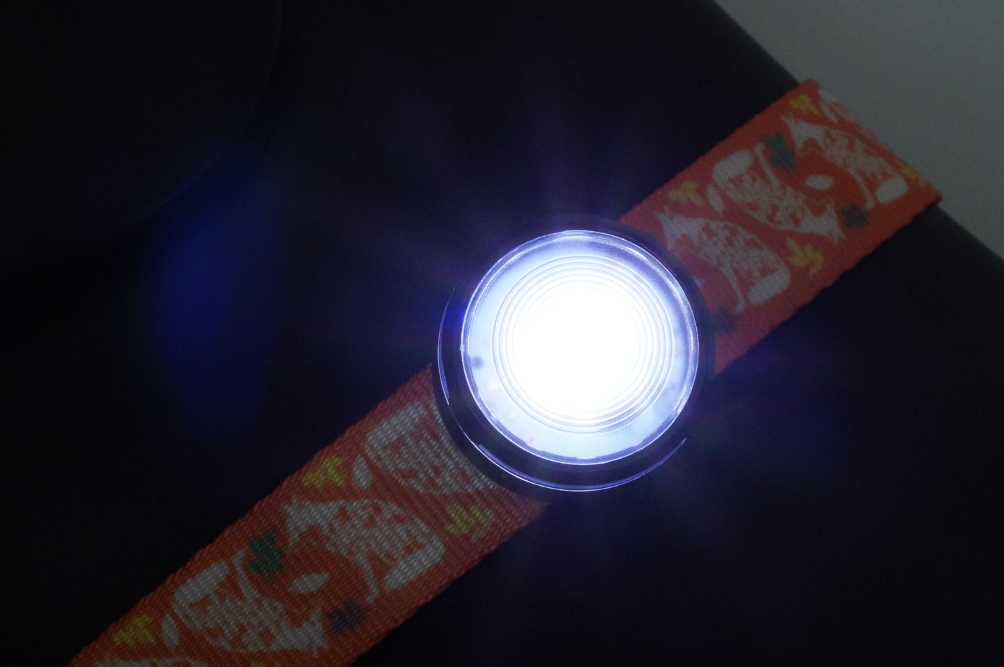 HoundHeadz - Halo Rechargeable Light