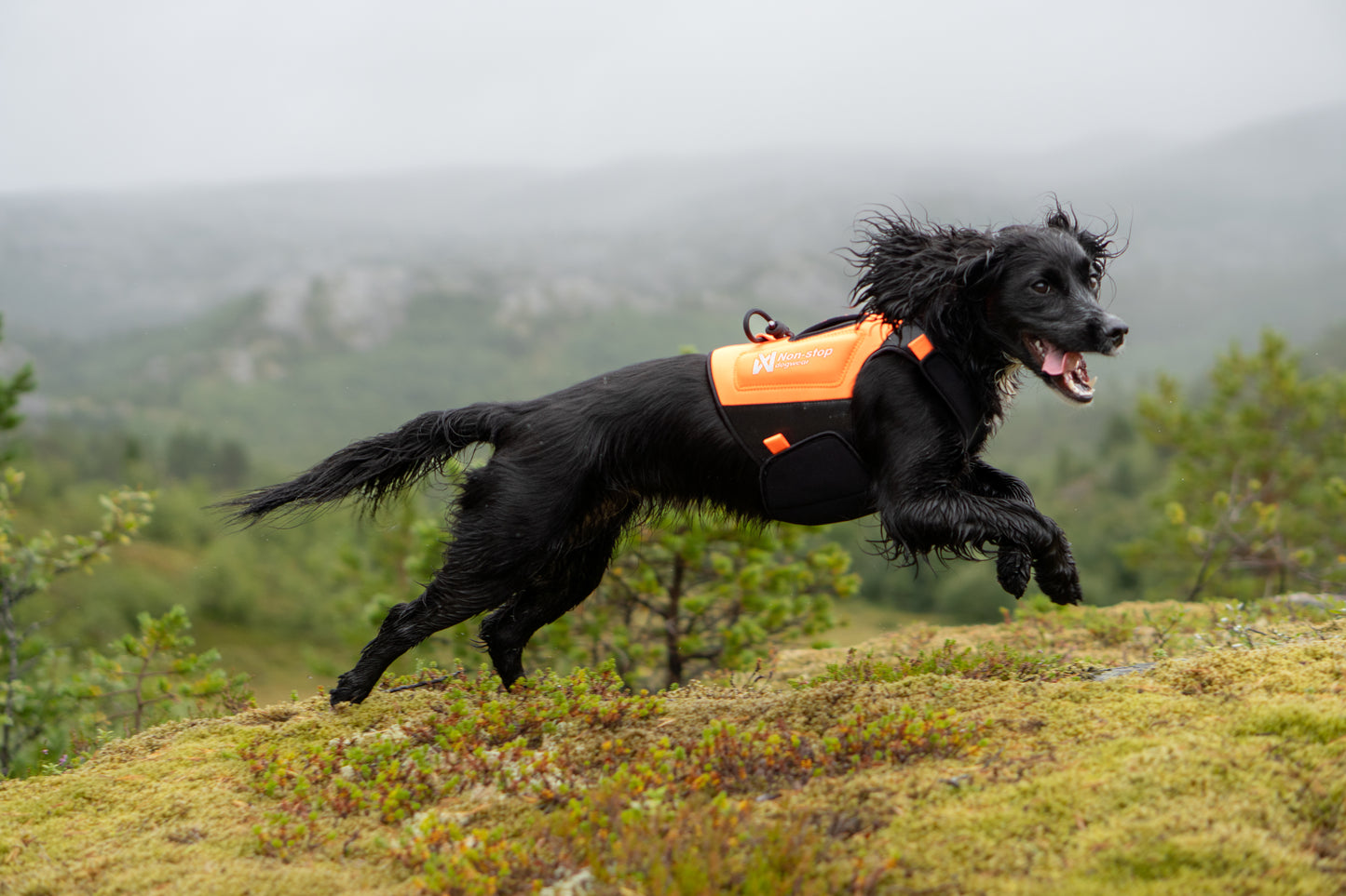 Non-stop - Protector Neoprene Vest