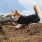 Non-stop - Fjord Jacket *Crazy Price - Final Stocks*
