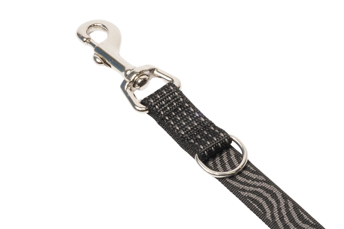 DNA - Explorer Training Lead