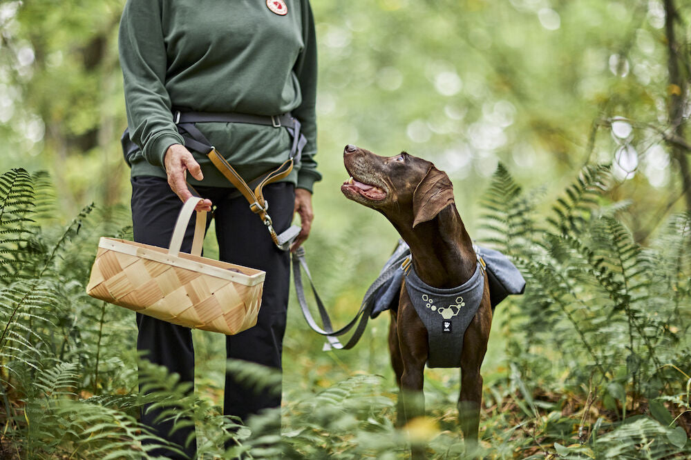 Hurtta - Expedition Belt Eco