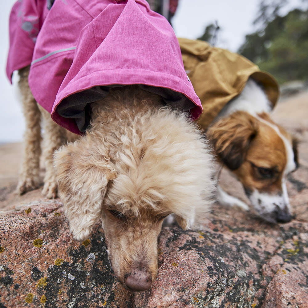 Hurtta - Monsoon Coat II ECO