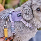Hurtta - Seeker Harness