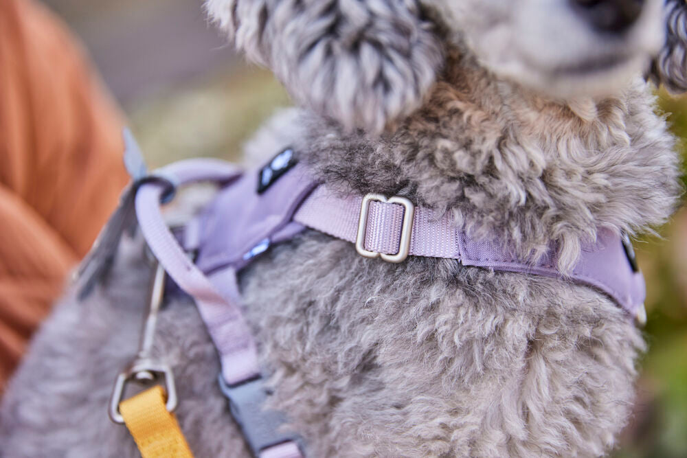Hurtta - Seeker Harness
