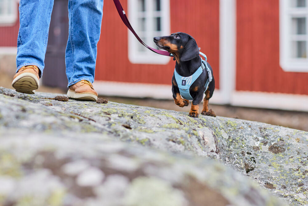 Hurtta - Seeker Harness