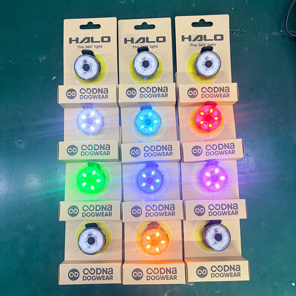 DNA Dogwear - Halo 360° Dog Light