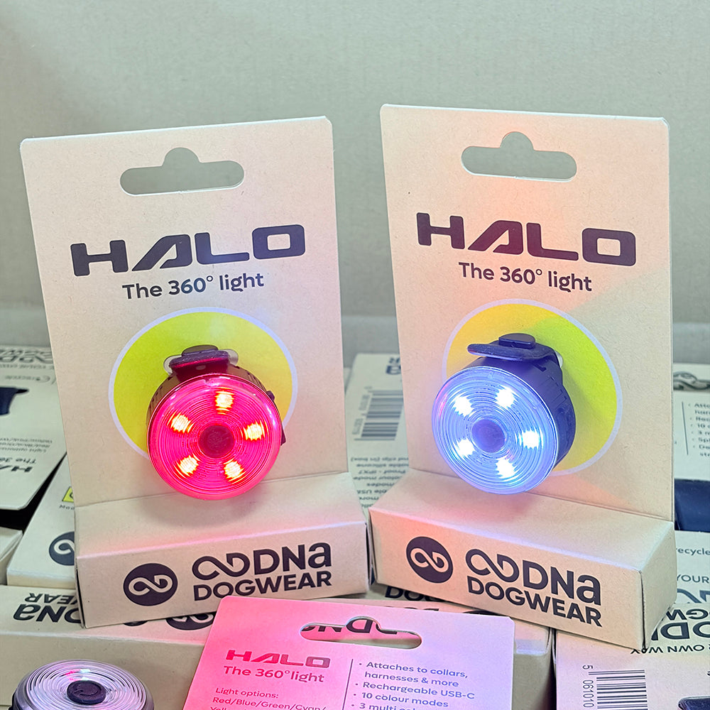 DNA Dogwear - Halo 360° Dog Light