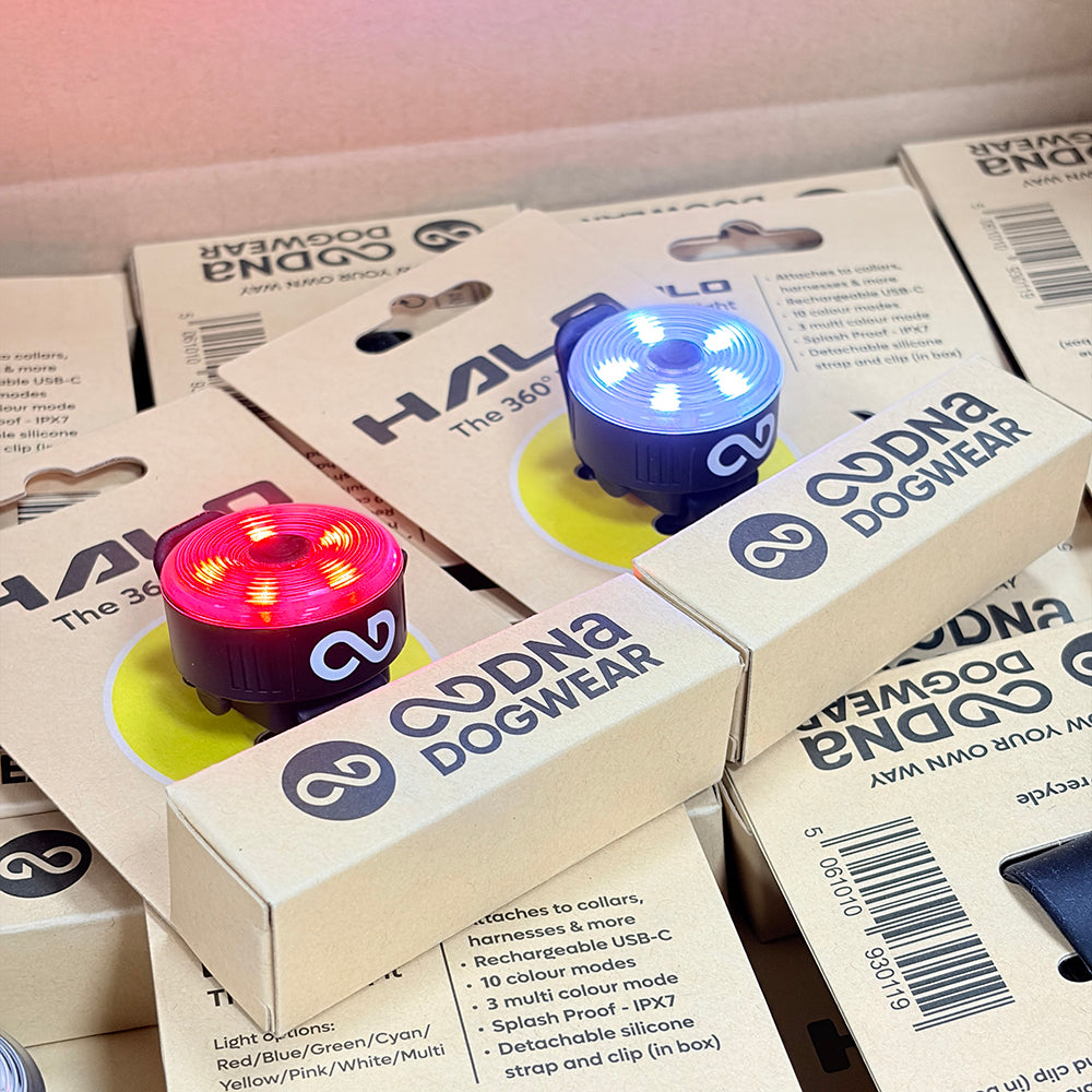 DNA Dogwear - Halo 360° Dog Light
