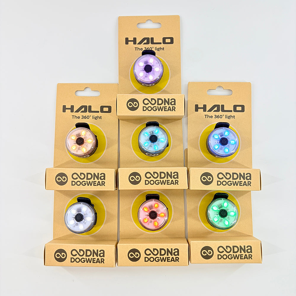 DNA Dogwear - Halo 360° Dog Light