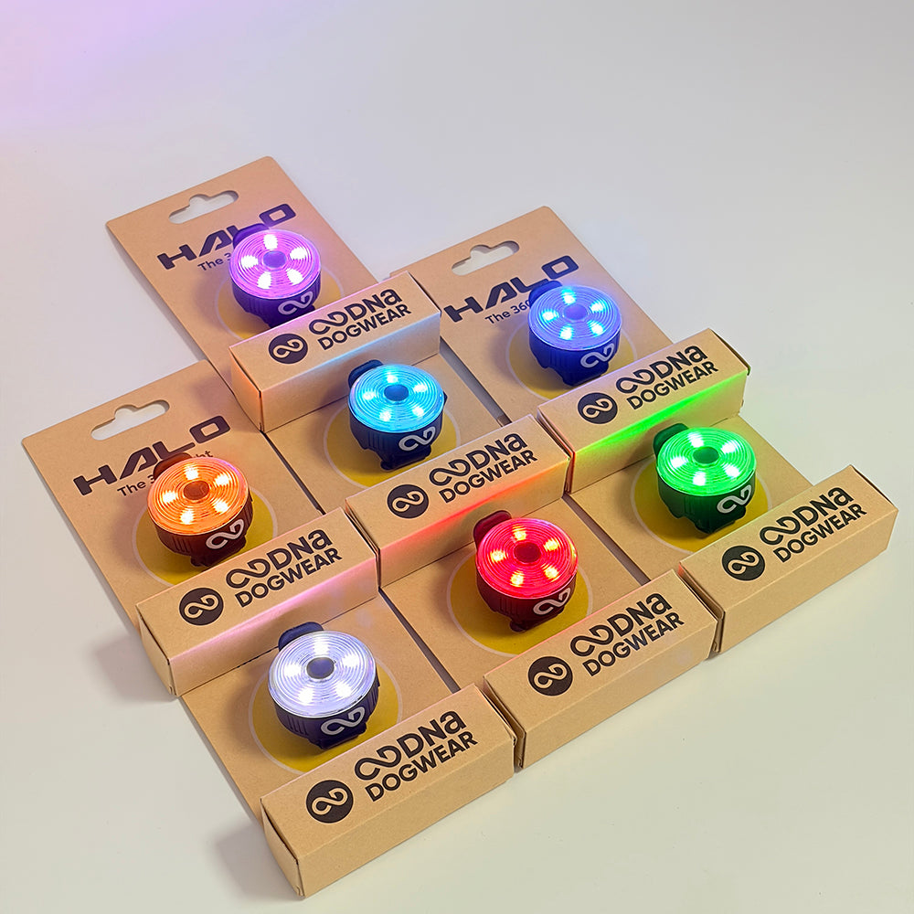 DNA Dogwear - Halo 360° Dog Light