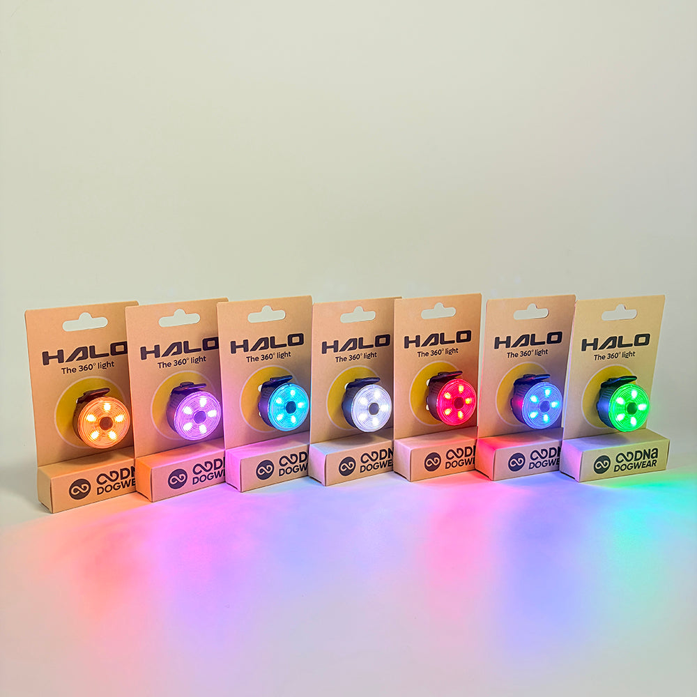DNA Dogwear - Halo 360° Dog Light
