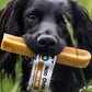 Black dog holding a Moo Chew in an outdoor setting.