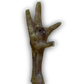 A chicken foot on a clear background.