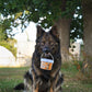 Lifestyle image of the Anco Nibbles being held by a sitting dog under a tree.