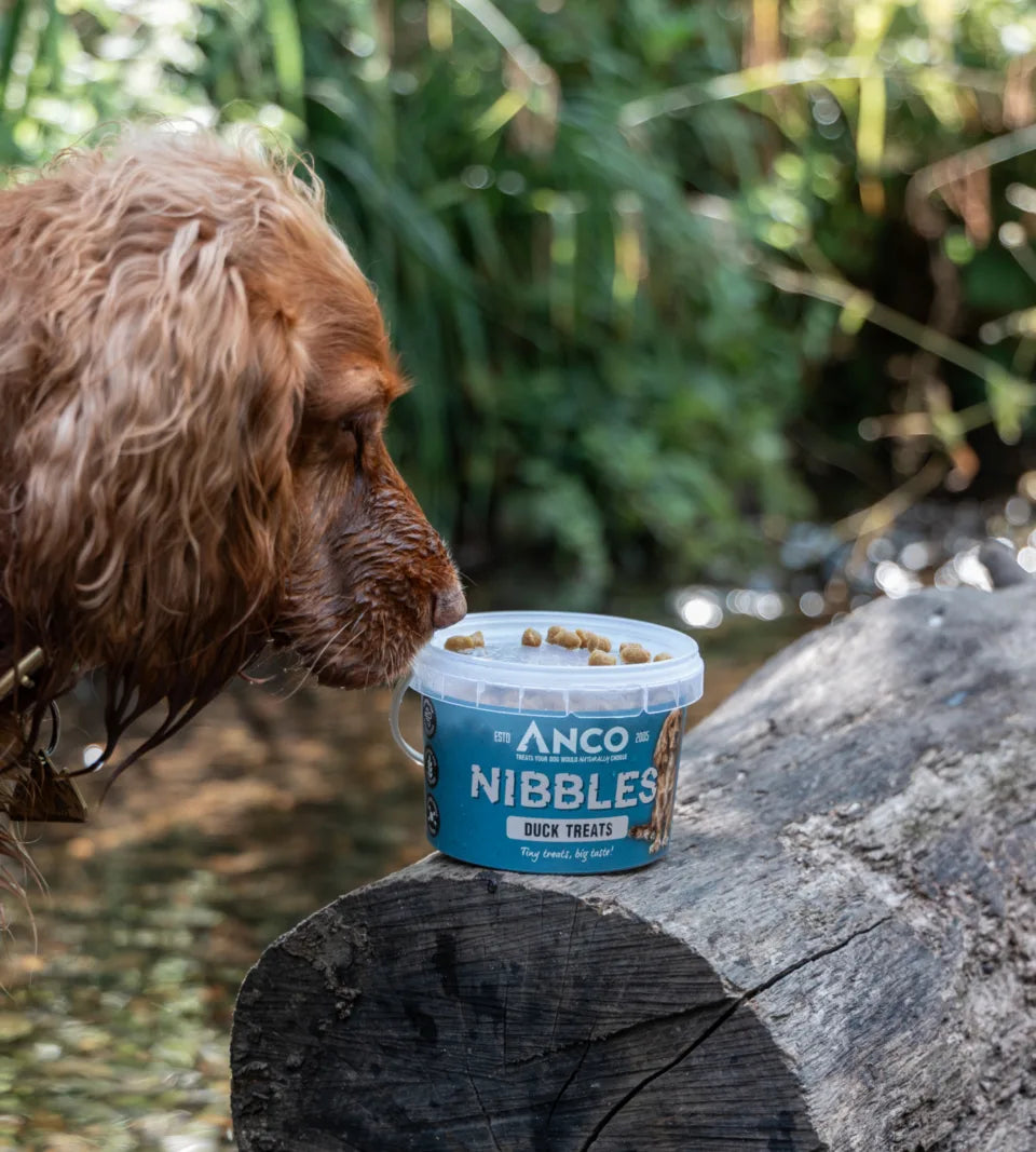 Lifestyle image of the Anco Nibbles on  top of a tree log, with a dog sniffing the treats.