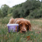 Anco - Nibbles - Turkey Treats (300g)
