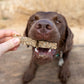 A dog eating a cod finger.