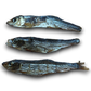 Three dried sprats on a clear background.