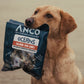 Dog holding a bag of Anco Oceans Salmon Skin Cubes treats.