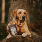 Dog laying on a log with a bag of ANCO Trainers Fish between his paws.