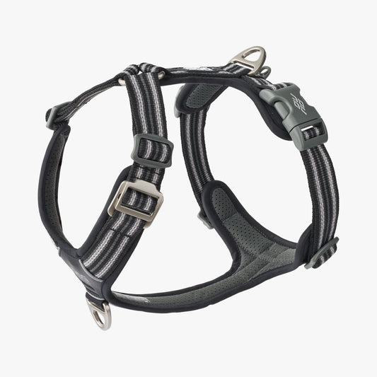 Stock image of the Comfort Walk Air in Black, a harness with two lead attachments and a handle, and a striped pattern, on a white background.