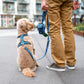 DOG Copenhagen - Urban Freestyle Leash