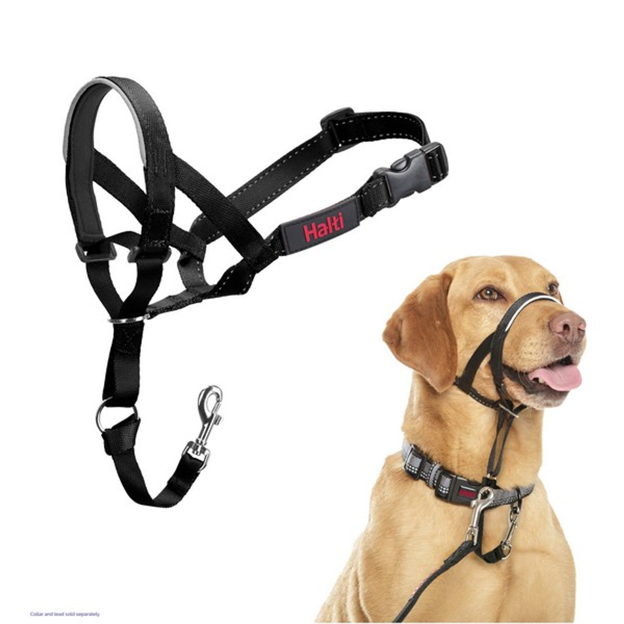 A stock image of the Halti Headcollar, modelled by a Labrador dog.