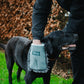 The Henry Wag Microfibre Drying Glove being used on a black dog, in a garden setting.