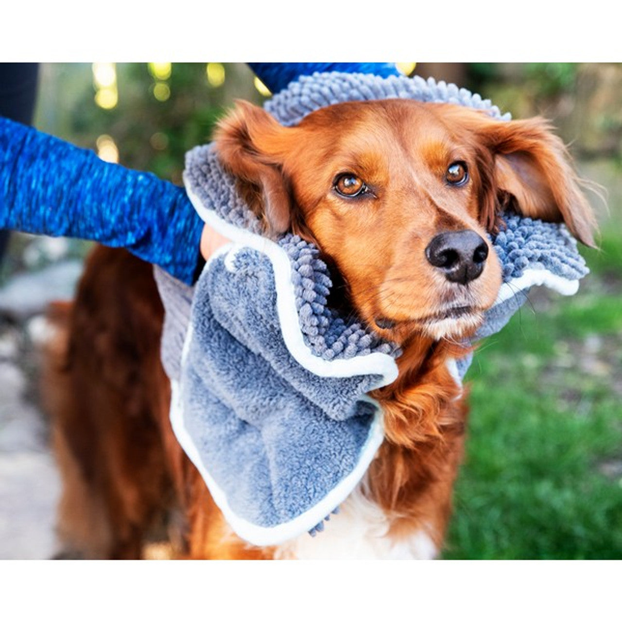 A brown dog being dried down with the Henry Wag Noodle Glove towel.
