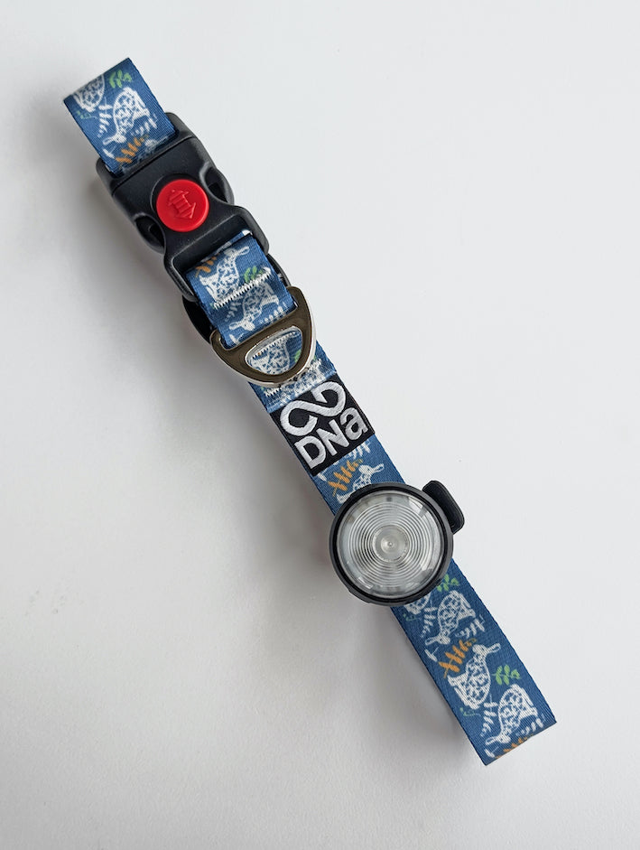 HoundHeadz - Halo Rechargeable Light *BLACK FRIDAY*