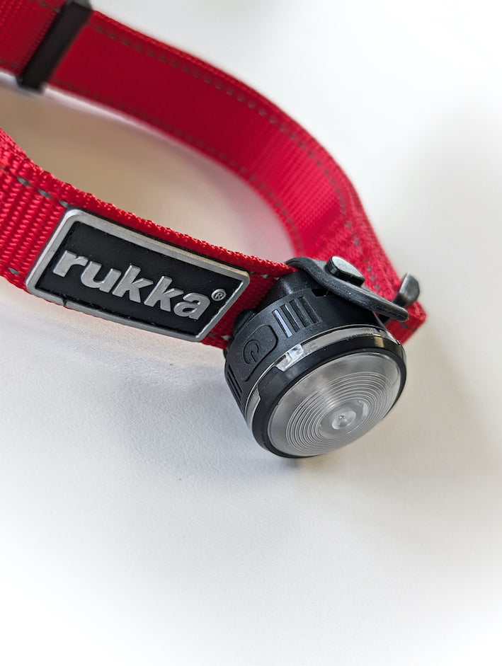 HoundHeadz - Halo Rechargeable Light *BLACK FRIDAY*