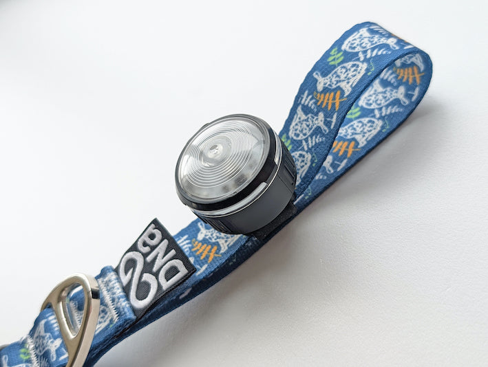 The HoundHeadz Halo Light secured on the handle of a blue lead, on a white background.