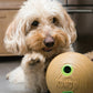 Lifestyle image of a cream dog playing with the Bamboo Dumbell.