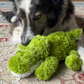 Lifestyle image of a dog playing with the Cozie Ali Alligator, on a carpet. 