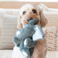 A dog playing with the KONG Kiddos Comfort Animal Elephant on a sofa.