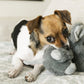 A dog playing with the KONG Kiddos Comfort Animal Elephant on a sofa.