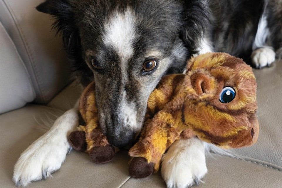 Lifestyle image of the Low Stuff Stripes Cow.