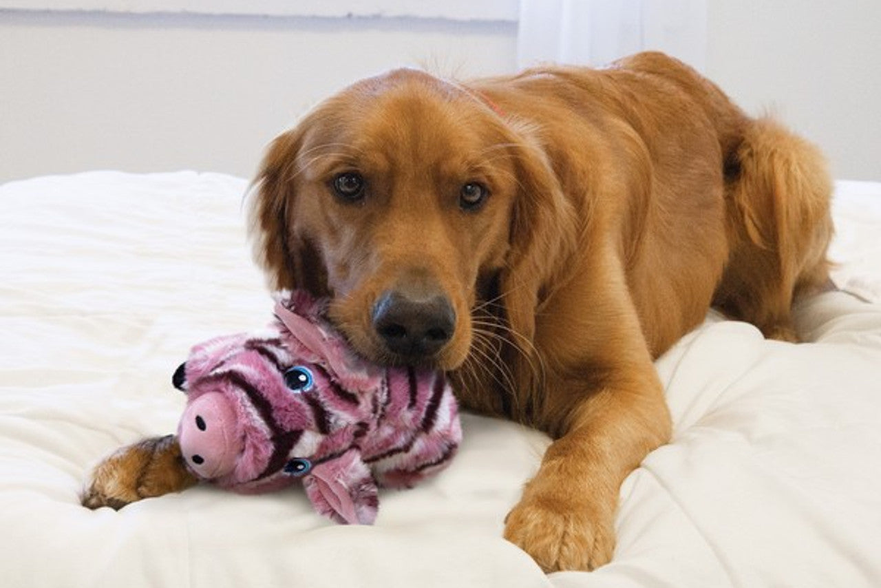 Lifestyle image of the Low Stuff Stripes Pig, being played with by a golden retriever in an indoor setting.