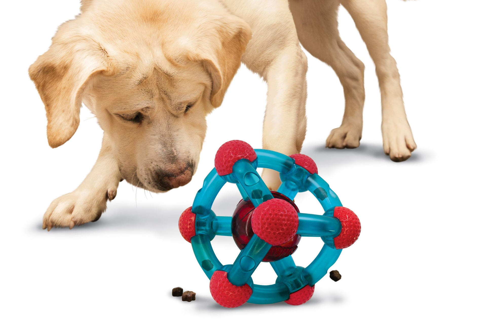 A stock image of a puppy playing with a KONG Rewards Tinker.