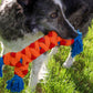 A dog playing with a Rope Rally Bone in the grass.